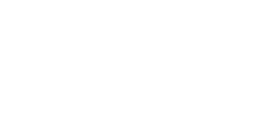 setina logo